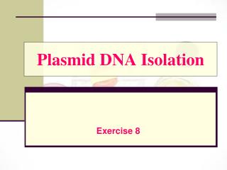 Plasmid DNA Isolation