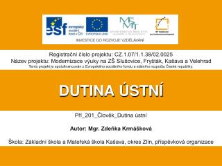 DUTINA ÚSTNÍ