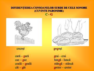 DIFERENŢIEREA CONSOANELOR SURDE DE CELE SONORE (CUVINTE PARONIME) C - G