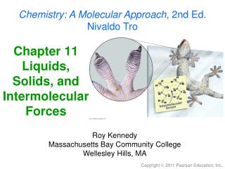 Chapter 11 Liquids, Solids, and Intermolecular Forces