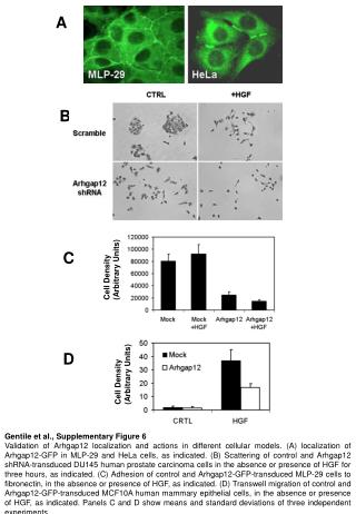 Gentile et al., Supplementary Figure 6