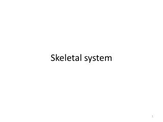 Skeletal system