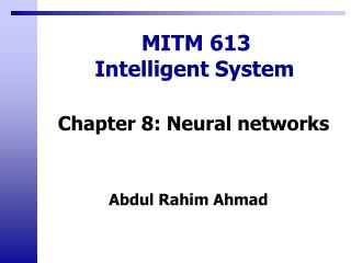 MITM 613 Intelligent System