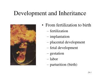 Development and Inheritance