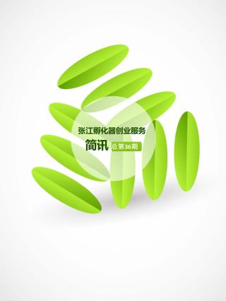张江孵化器创业服务