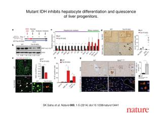 SK Saha et al. Nature 000 , 1-5 (2014) doi:10.1038/nature13441