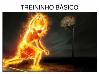 TREININHO BÁSICO