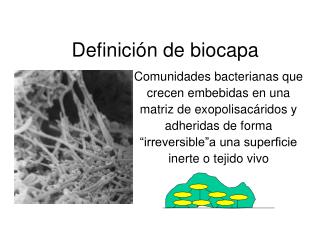 Definición de biocapa