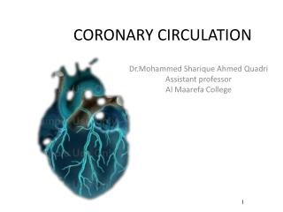 CORONARY CIRCULATION