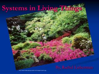 Systems in Living Things