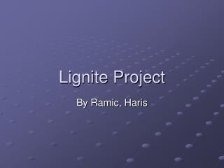 Lignite Project