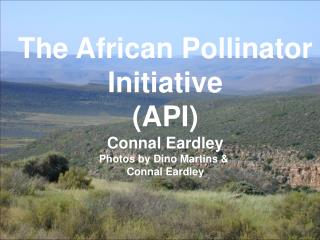 The African Pollinator Initiative (API) Connal Eardley Photos by Dino Martins &amp; Connal Eardley