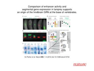 HJ Parker et al. Nature 000 , 1-4 (2014) doi:10.1038/nature13723