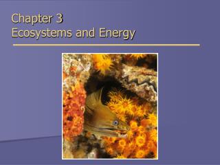 Chapter 3 Ecosystems and Energy
