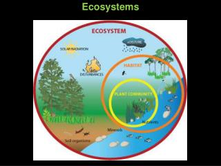 Ecosystems