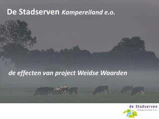 De Stadserven Kampereiland e.o.