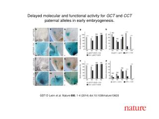 GDT-D Le ó n et al. Nature 000 , 1-4 (2014) doi:10.1038/nature13620