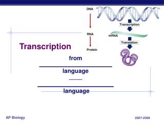 Transcription