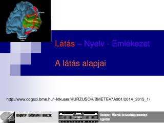 Látás – Nyelv - Emlékezet A látás alapjai