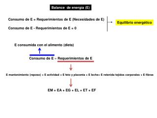Consumo de E = Requerimientos de E