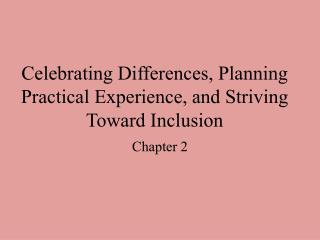 Celebrating Differences, Planning Practical Experience, and Striving Toward Inclusion