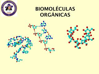 BIOMOLÉCULAS ORGÁNICAS