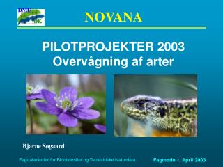 PILOTPROJEKTER 2003 Overvågning af arter