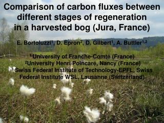 Peatlands : carbon sinks