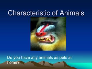 Characteristic of Animals