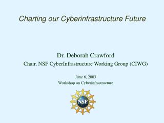 Charting our Cyberinfrastructure Future