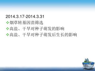 2014.3.17-2014.3.31 烟草转基因苗筛选 高盐、干旱对种子萌发的影响 高盐、干旱对种子萌发后生长的影响