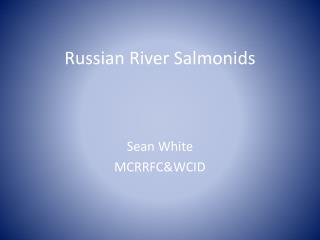 Russian River Salmonids