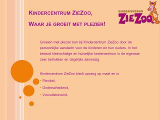 Kindercentrum ZieZoo , Waar je groeit met plezier!