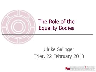 The Role of the Equality Bodies