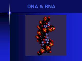 DNA &amp; RNA