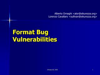 Format Bug Vulnerabilities