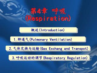 第 4 章 呼吸 (Respiration)