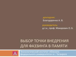 Выбор точки внедрения для фаззинга в памяти