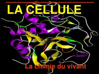 LA CELLULE