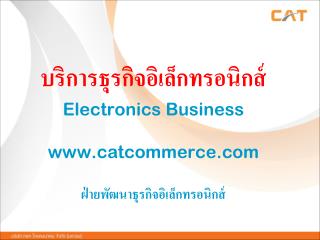 บริการธุรกิจอิเล็กทรอนิกส์ Electronics Business catcommerce ฝ่ายพัฒนาธุรกิจอิเล็กทรอนิกส์