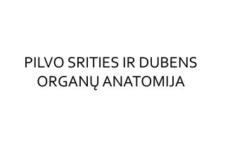 PILVO SRITIES IR DUBENS ORGANŲ ANATOMIJA