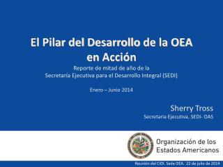 Sherry Tross Secretaria Ejecutiva , SEDI- OAS