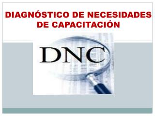 DIAGNÓSTICO DE NECESIDADES DE CAPACITACIÓN