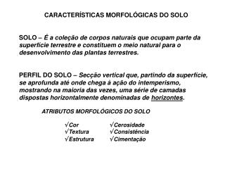 CARACTERÍSTICAS MORFOLÓGICAS DO SOLO