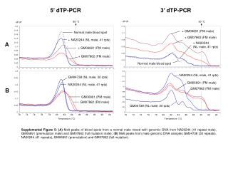 5’ dTP-PCR