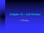 Chapter 10 Cell Division