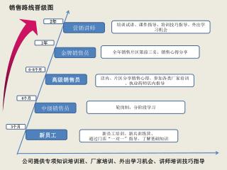 中级销售员