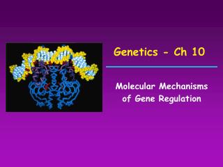 Genetics - Ch 10