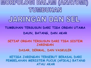 JARINGAN DAN SEL