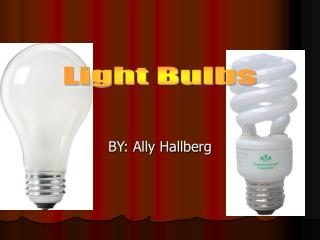 BY: Ally Hallberg